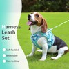 Jolifield Step in Dog Harness with Leash Set, Adjustable Soft