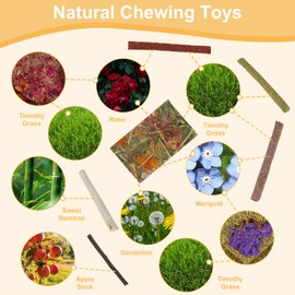 ARTKIDA 65PCS Rabbit Bunny Guinea Pig Chew Toys Treats, Chinchilla Hamster Chews Toys for Teeth, Timothy Hay Chips Treats Sticks for Rabbit Guinea Pig Chinchilla Hamster Rat