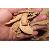 Roasted Deodeok Tea Sasam Tea 3-year-old Korean 100g 200g Roasted