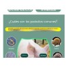 Suplemento Cuidado Animal Natural 200g Aves Ganado Cerdos Va