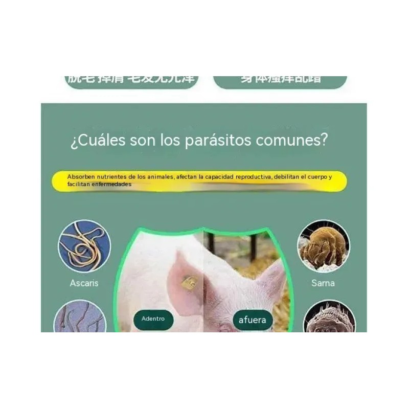 Suplemento Cuidado Animal Natural 200g Aves Ganado Cerdos Va