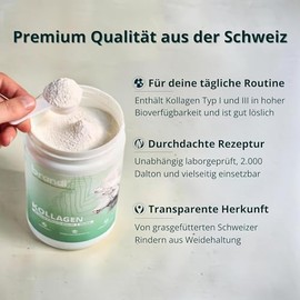 Collagen Powder for Joints, Knees & Skin from Swiss Pasture - Tasteless and Odourless & Independently Laboratory Tested - Peptides Type 1 & 3, Good Solubility, 555 g by brandl & COLLAswiss