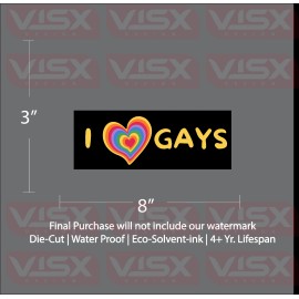 VISX I love gays rainbow heart Sticker Bumper Funny JDM Slammed lbtqg queer fag prank