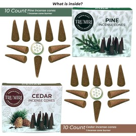 Incense Cones - Combo Pack of 20 Cone Incense - 10 Nag Champa + 10 Palo Santo - Insence Cones - Incense Cones Scented - Cone Incense Scents - Insense Cones - Incent Cone