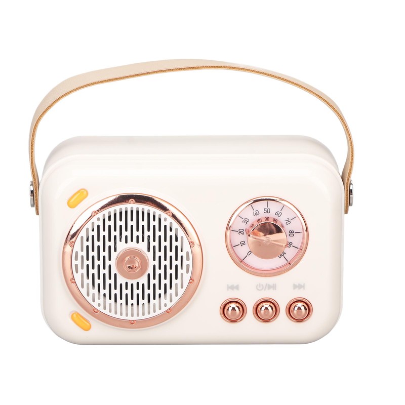 Karaoke Machine Multifunction Enhanced Bass 6 Modes Portable Bluetooth PA