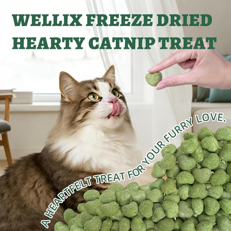 Wellix Freeze-Dried Catnip Treats with Chicken, Cat Grass & Catnip,