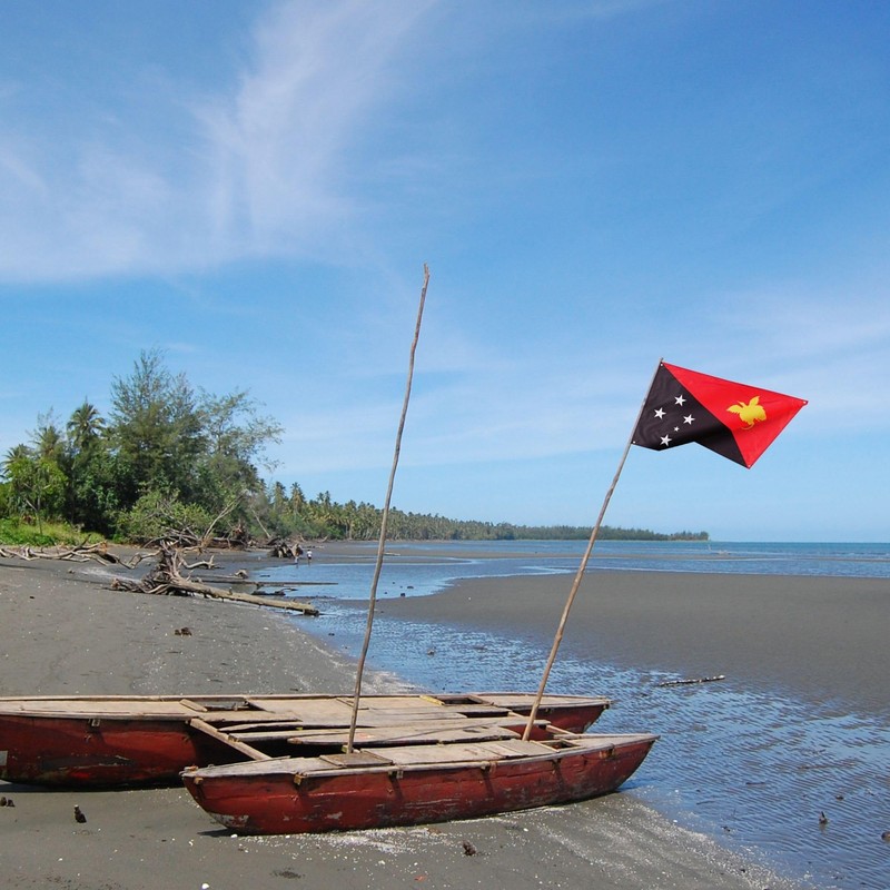 Runesol Papua New Guinea Flag, 91x152cm, 3ft x 5ft, 4
