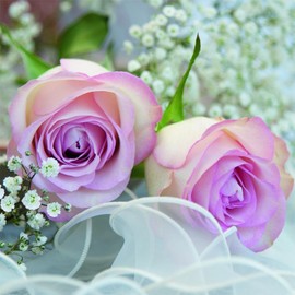 Anniversary House PJ378451 Tiflair Romantic Rose Napkins 3 Ply, Multi-Colour