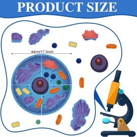 Leitee 18 Pcs Magnetic Animal Cell Model Kits Giant Teaching Resources Early Biology Cell Anatomy Model Life Science Teaching Aid for Whiteboard Learning Tools Educational Classroom Activities