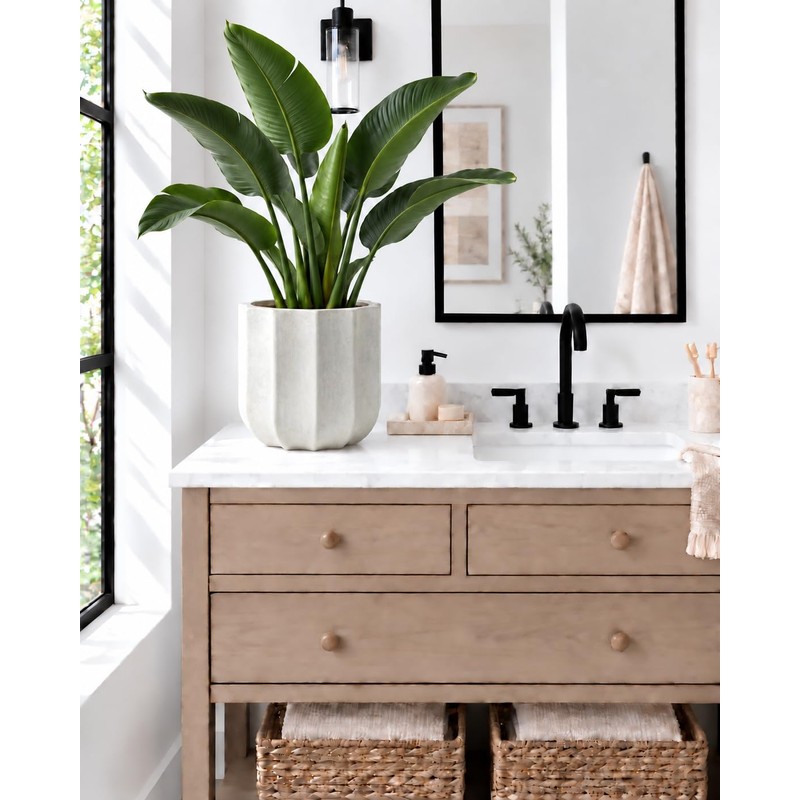 10 Inch Ceramic Plant Pot for Indoor Plants with Drainage