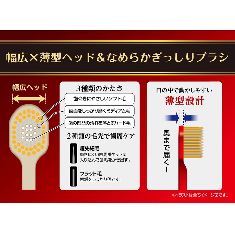 エビス ザ・プレミアムケア 8列レギュラー ふつう (色おまかせ)