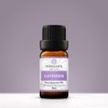 Vitality Extracts Lavender Essential Oil - Natural Calm, Stress Relief,