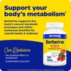 Enzymedica Berberine 800 mg – Vegan Capsules for Metabolic Support
