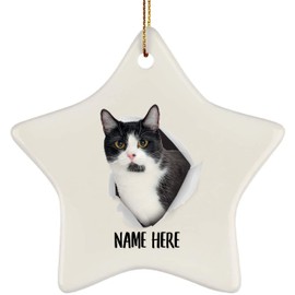 Customized Name Munchkin Cat Black White Crack Hole Gifts 2024 Christmas Tree Ornaments Star