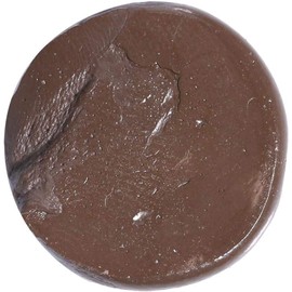 Torchwood Fishing Tackle Brown Tungsten Rig Putty Carp Fishing Terminal Tackle 20 grams NONTOXIC super sticky