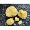 Natural Sea Sponges for Bathing: 5pc Gift in Premium Bag