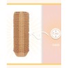 qiqee Square 300-Count Brown Cupcake Liners Muffin Linner No Smell,
