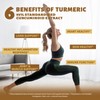 DR. Crown Turmeric Curcumin Supplement, 95% Standardized Curcuminoids