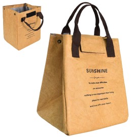 DecorDwell Cool Bag with Velcro Closure, 19 x 17 x 24 cm, Picnic Bag, Cool Bag, Small Lunch Bag for Work, Outdoor Activities, Sandwich Bag, Reusable Carry Bag (Brown)