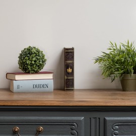 Moritz Vintage Book Cover - Secret Hiding Place in Antique Style with Crest - Decorative Book Box for Jewellery and Documents - Hidden Storage Box 21.2 x 13 x 5 cm - Nostalgic Look for Home and Office