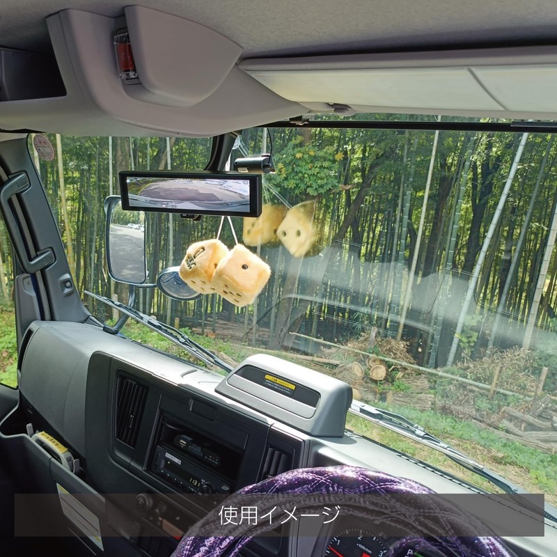 Jet Inoue 590984 Hanging Dice, White