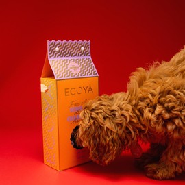 ECOYA Dog Grooming Pack - Neroli & Chamomile