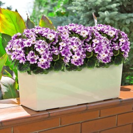 Betylifoy 3 Pack Artificial Flowers for Outdoor 18'' Silk Geranium Flower Purple Faux Geranium Bush UV Resistant Garden Plants Fake Flowers Branch for Home Wedding Kitchen Table Centerpiece Decor
