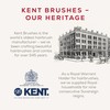 Kent Brushes Shampoo & Scalp Massage Brush - Ideal for