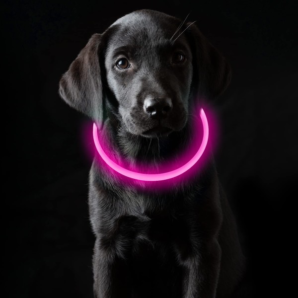 Coolzon LED Light Collar Rechargeable Waterproof Dog Collar 3 Modes