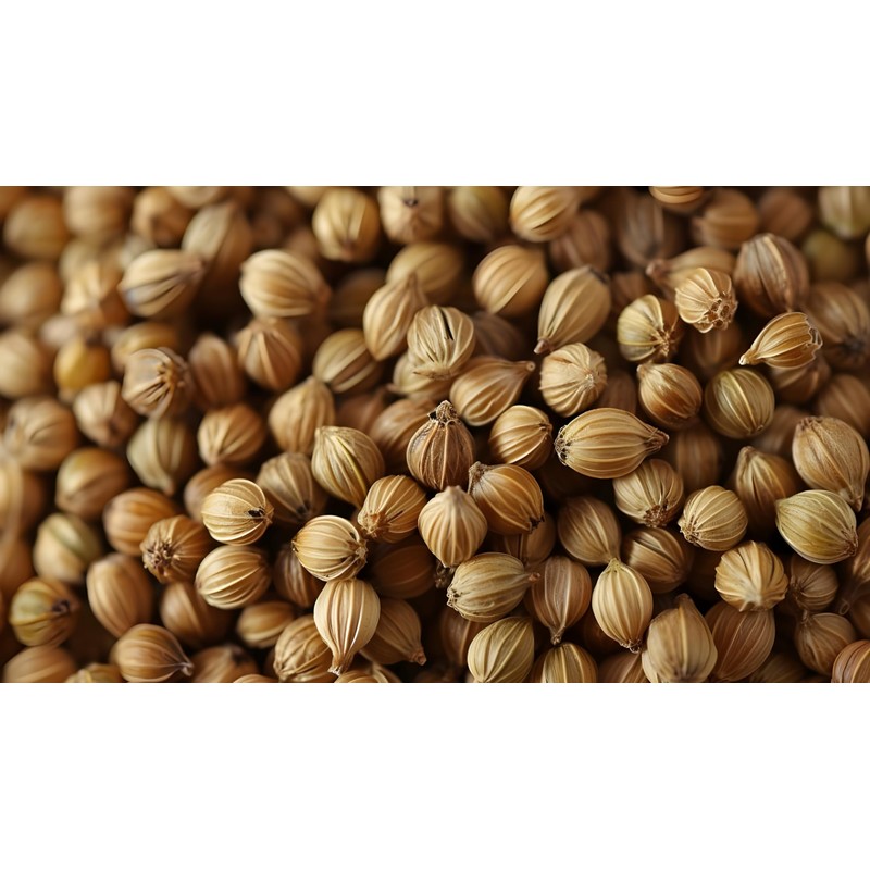 Coriander Seeds, 16 Oz, 100% Certified Organic, Raw, Non-GMO, Non-Irradiated