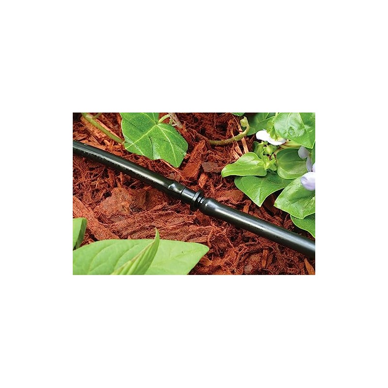Rain Bird BC25/10PS Drip Irrigation Universal 1/4" Barbed Coupling Fitting,