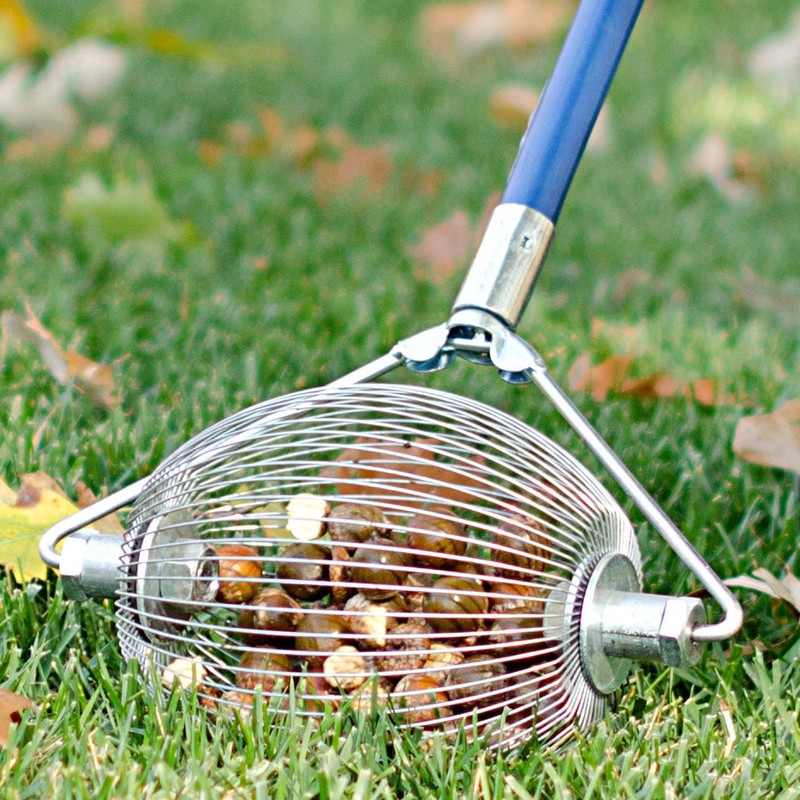 Medium Nut Wizard 14" for English Walnuts, Chestnuts, Golf Balls