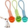 DICOCO 3 Pack Dog Toy, Popular, Chewing, Snack Ball, Dog