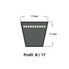 SWR V-Belt B30.5-17 x 775 Li, Classic