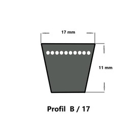 SWR V-Belt B30.5-17 x 775 Li, Classic