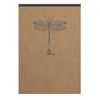Clairefontaine Flying Spirit 103646C Pack of 5 Pads, Glued at