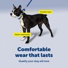 PetSafe Martingale Dog Collar with Quick Snap Buckle - No