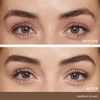 Jane Iredale PureBrow Brow Powder, Soft Black