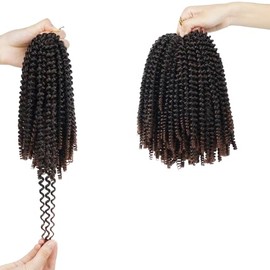 Generic (6 pack) 8inch 110g 30strands/pc Fluffy Spring Twist Crochet Hair Braiding (M1B/27, 8 inches)