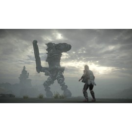 No Name Shadow of The Colossus