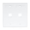 Leviton 2-Port Dual Gang QuickPort Wallplate with ID Windows, 42080-2WP,