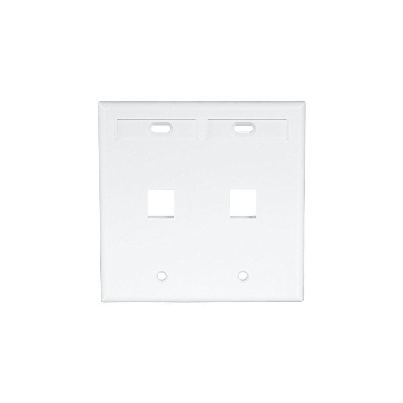 Leviton 2-Port Dual Gang QuickPort Wallplate with ID Windows, 42080-2WP,