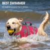 Queenmore XS Dog Life Jacket, Puppy Life Jackets for Small