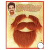 4-Piece Set – Ginger Beard and Eyebrow Stick On Beard