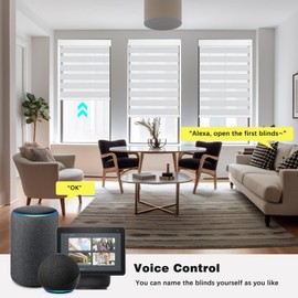 Changshade Electric Window Shades, Blackout Motorized Zebra Blinds with Remote Control Automatic Custom Size Roller Shades, Compatible with Alexa, Apple Homekit, Google Home, SmartThings, Grey