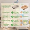 Disposable Litter Boxes for Cats Large: 6-Pack Leak-Proof Sustainable for