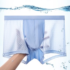 Evankin Men Mesh Ice Silk Underwear with Bulge Pouch Breathable Cool Boxer Briefs Ultra-thin panties(Black/Grey/Blue,S)