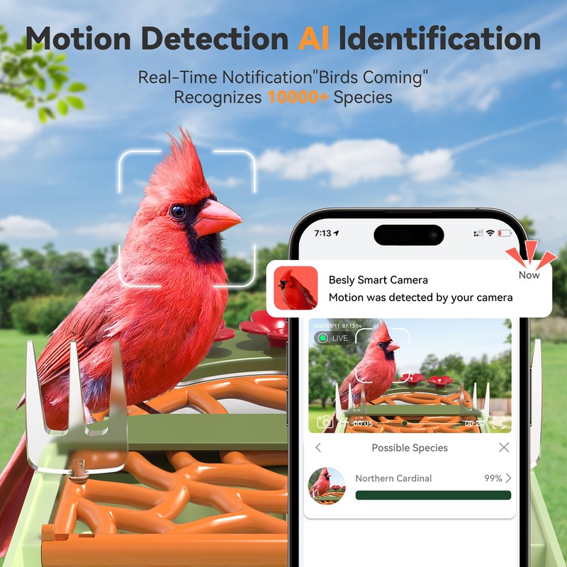 Smart Bird Feeder with Camera