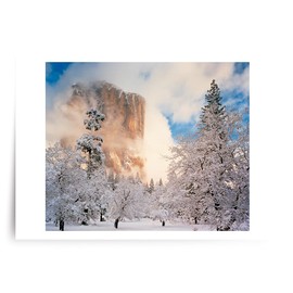 PALM PRESS Photographic Season’s Greetings Cards, Winter in El Capitan (6 Cards with White Envelopes)