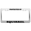 Product Express Protected by Squirrel License Plate Frame Tag Holder